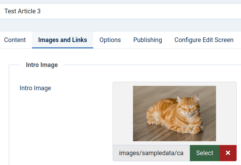 images in the images and links tab
