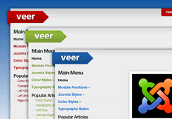 Veer