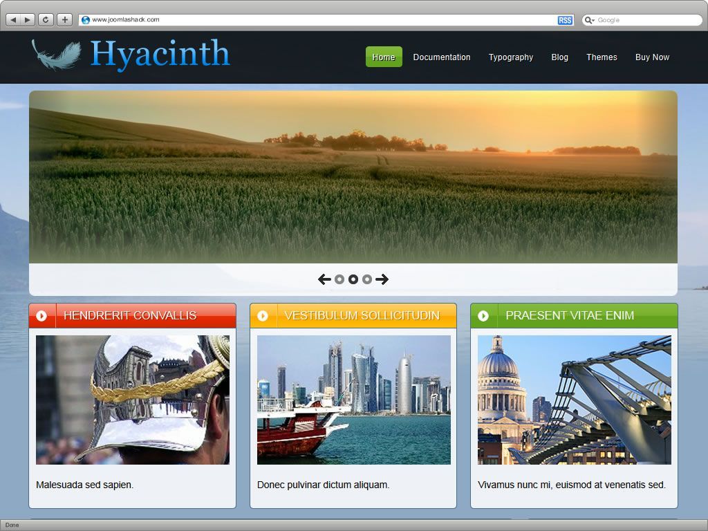 Hyacinth_theme1