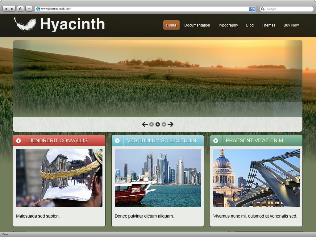 Hyacinth_theme2