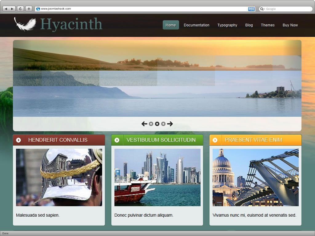 Hyacinth_theme3