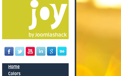 Lime Gray joy limegray