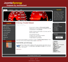 Synergy Template