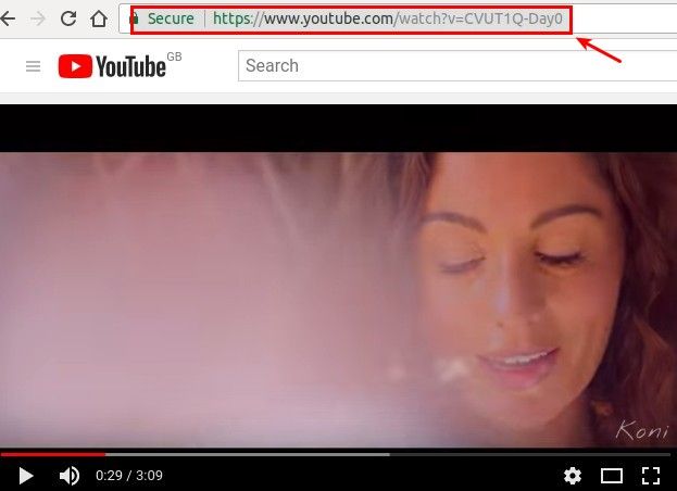 YouTube video URL from the browser URL box