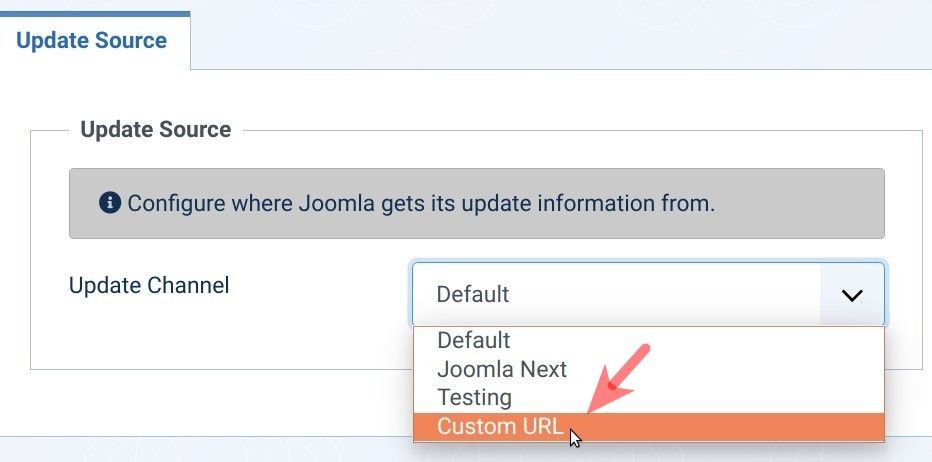 set the update channel to custom url