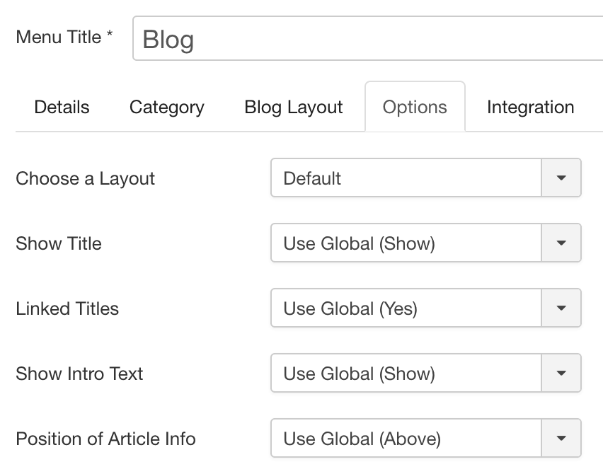 blog options tab