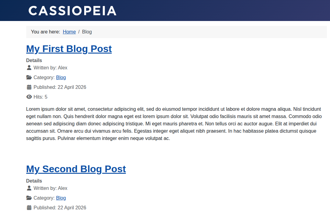 Blog Posts