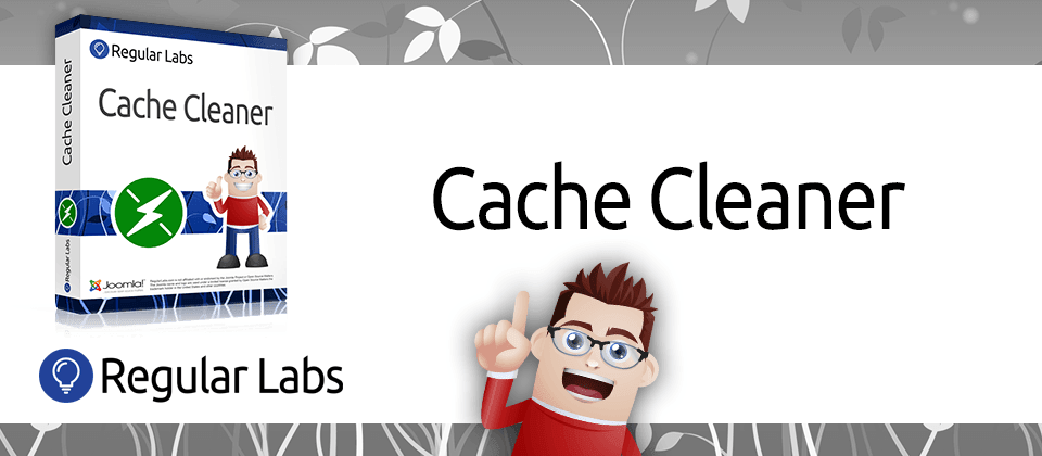 cache cleaner