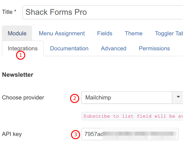 select mailchimp provider copy the key