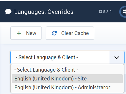 the site language and client