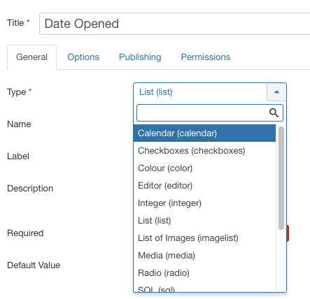 The date field, showing when the attraction first opened