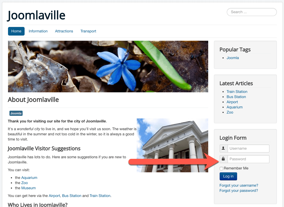 Use the Login Form module on the front of your site to log in