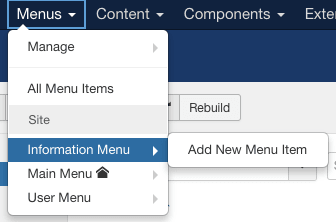 Go to Menus, Information Menu, then Add New Menu Item
