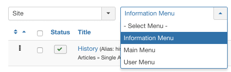 use the dropdown filters to choose 'Information Menu'