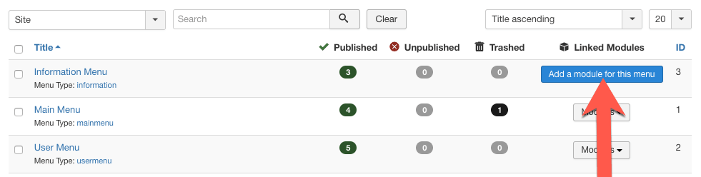 Click 'Add a module for this menu'