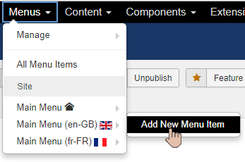 Click on the Add New Menu Item link