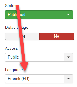 Under the Language option, choose French (FR)