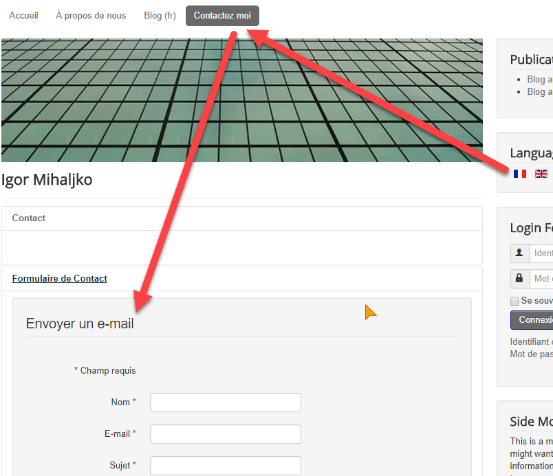 You will see the French version of the contact form