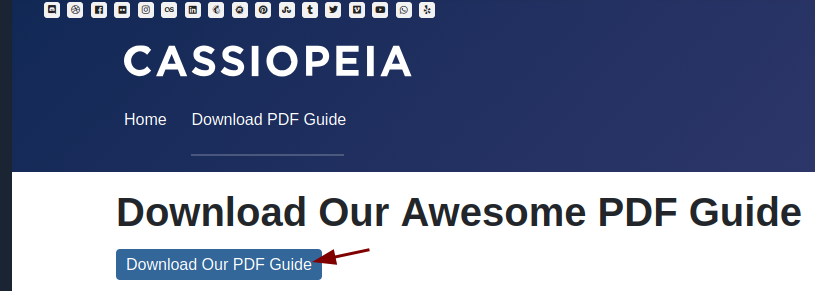 the downloads button front end