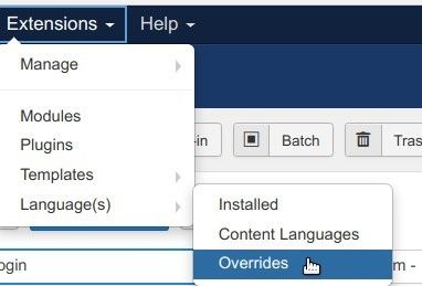 go to extensions languages overrides