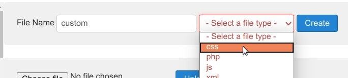 select css as file type and click create