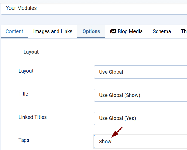 option hide for a single article