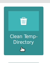 clean temp directory