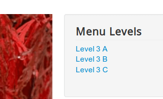 11 level three menu items displayed