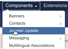 Go to components joomla update