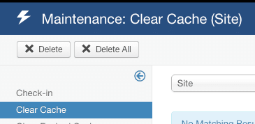 Delete Cache button