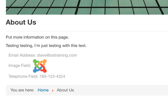 Joomla fields on an article