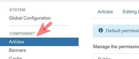 make sure you have the articles highlighted under components