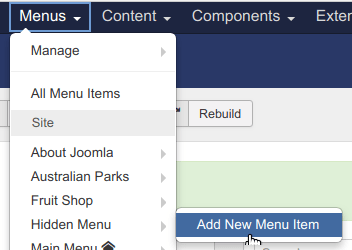 go to menus hidden menu add new menu item