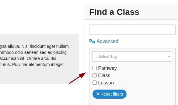the three checkboxes of the advanced filter