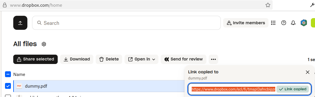 the file url highlighted and copied
