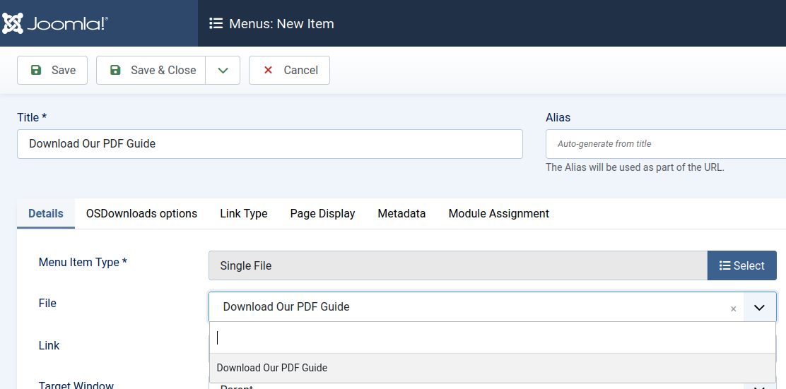 the file field with the downloadable file selected