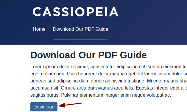 the download button