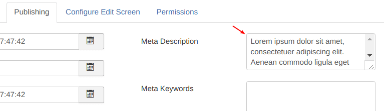 publishing tab meta description setting
