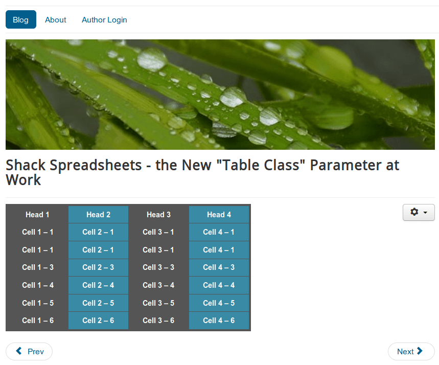 table with css styles