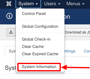 System Information