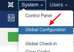 go to system global configuration