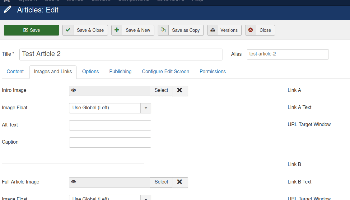 the settings of the images and links tab