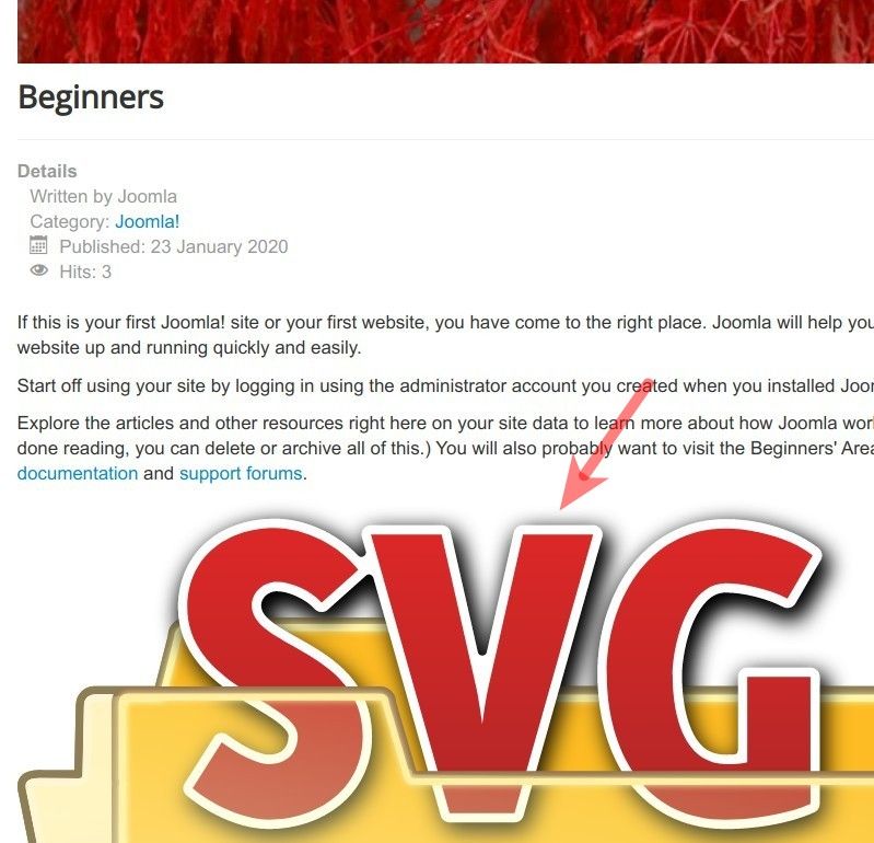 your svg image displayed