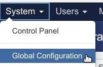go to system global configuration