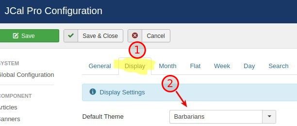The Display tab and the Default Theme setting