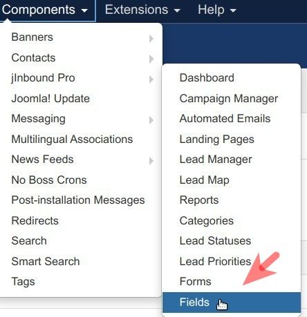 go to components jinboundpro fields