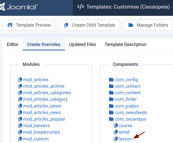 the lesson template override link