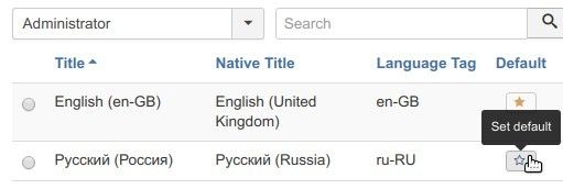 set your language as default for administrator panel