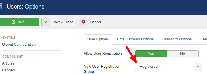 make sure the new registration user group is the registered