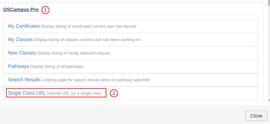 Single Class URL menu type